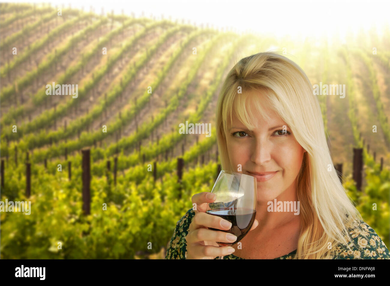 Happy Attractive Woman Enjoying a Glass of Wine at the Vineyard Stock ...