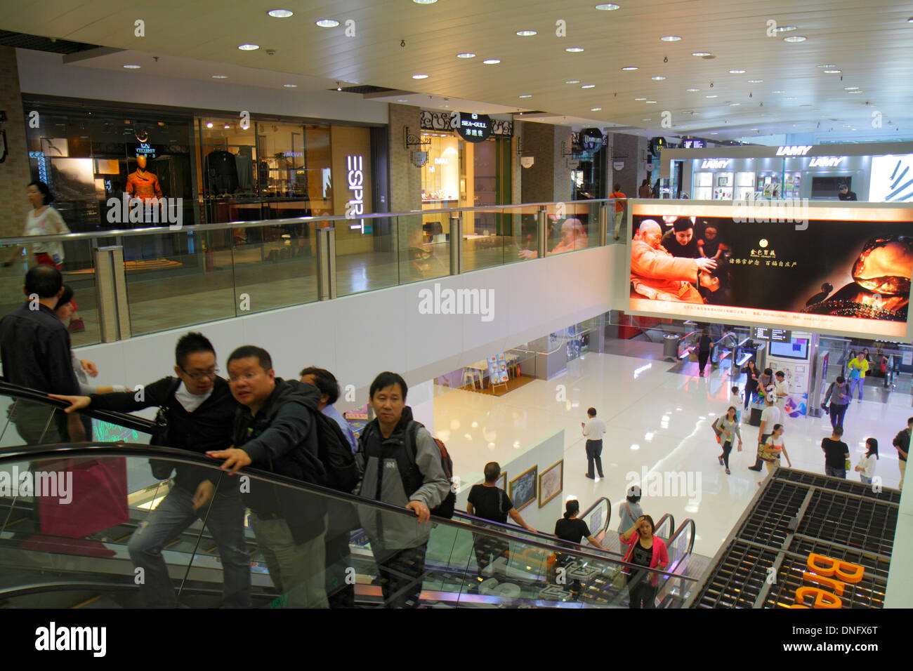 asian oriental shopping Matthew littman gay