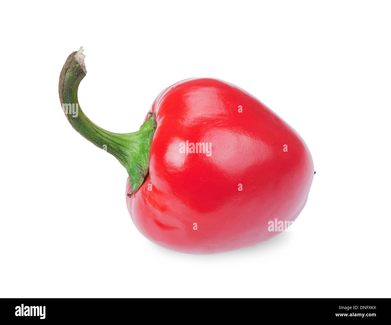 red hot chilli pepper isolated on a white background Stock Photo