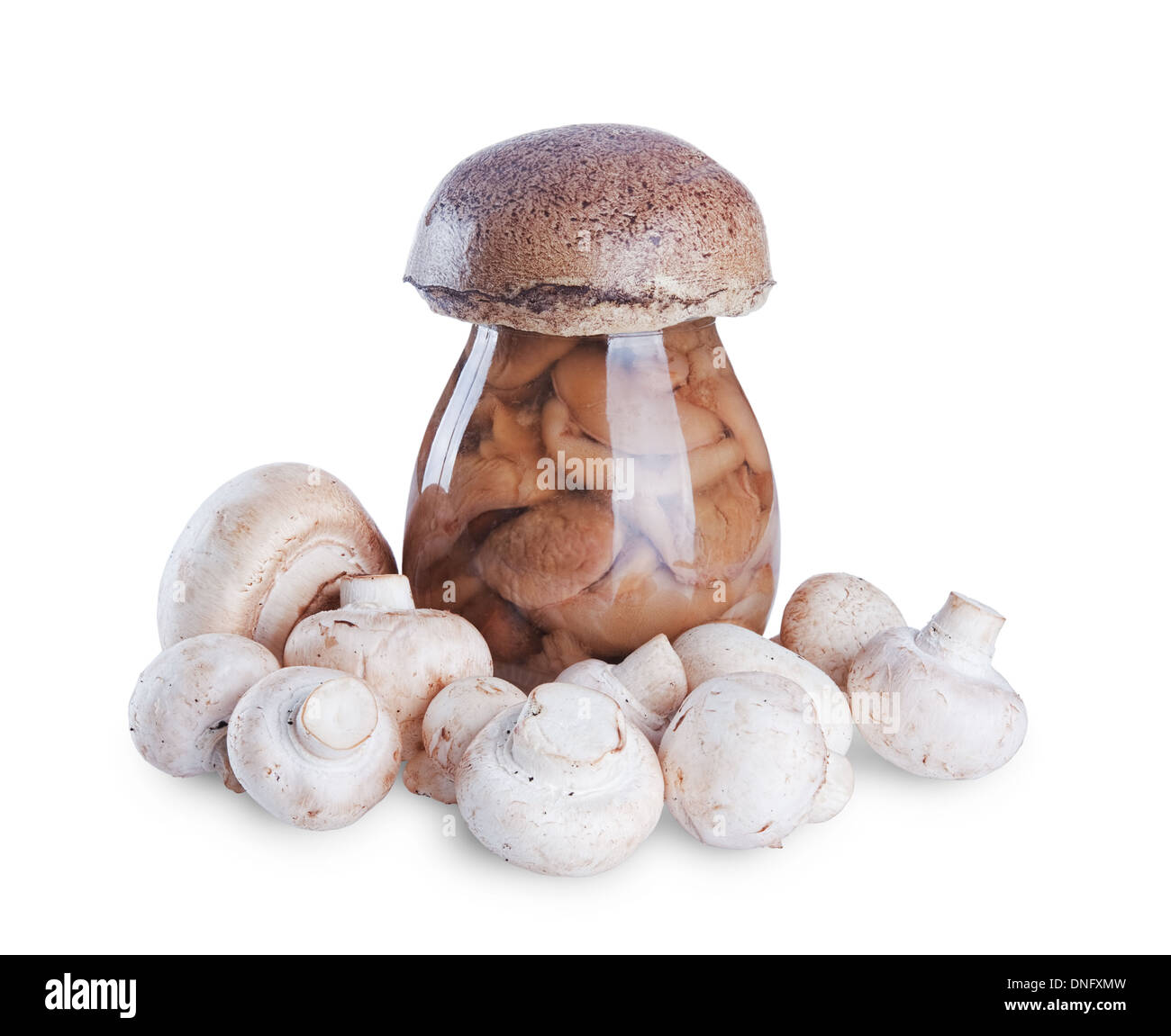 marinated mushrooms in the glass jar and fresh mushrooms isolated on