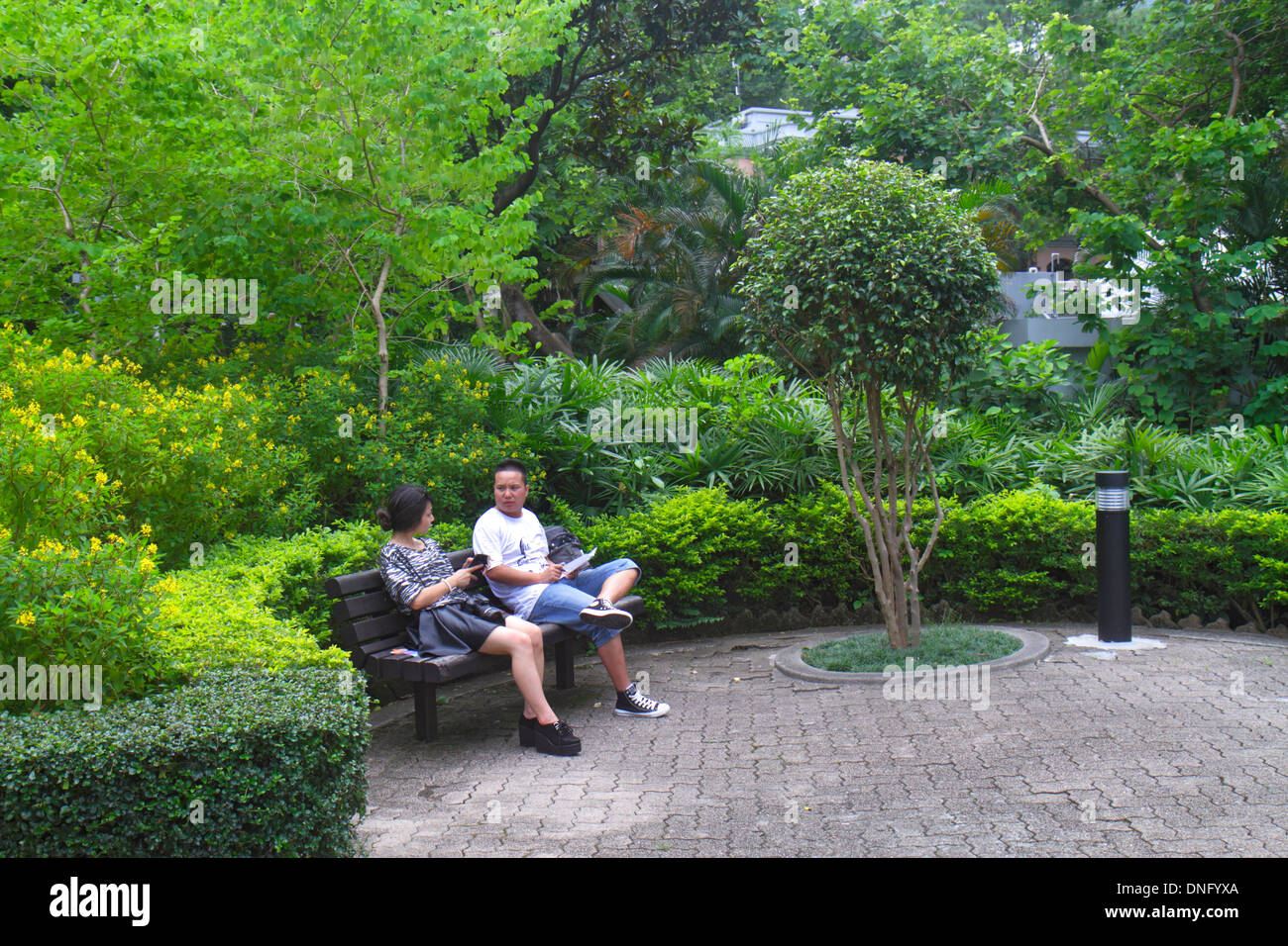 Hong Kong China,HK,Asia,Chinese,Oriental,Island,Central,Hong Kong Park,landscape,trees,bench,Asian man men male,adult,adults,woman female women,couple Stock Photo