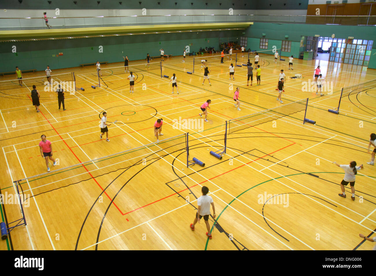 Hong Kong China,HK,Asia,Chinese,Oriental,Island,Central,Hong Kong Park Sports Centre,center,badminton courts,indoor,gymnasium,Asian Asians ethnic immi Stock Photo
