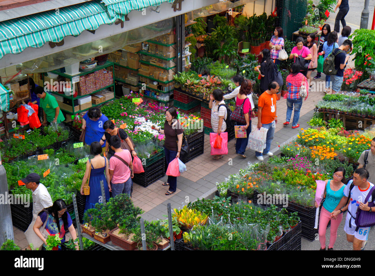 Hong Kong China Kowloon Prince Edward Flower Market Road Mongkok Stock