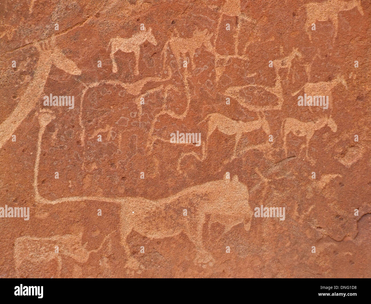 Rock engravings of African wildlife subjects, Twyfelfontein archaeological site, Namibia Stock Photo