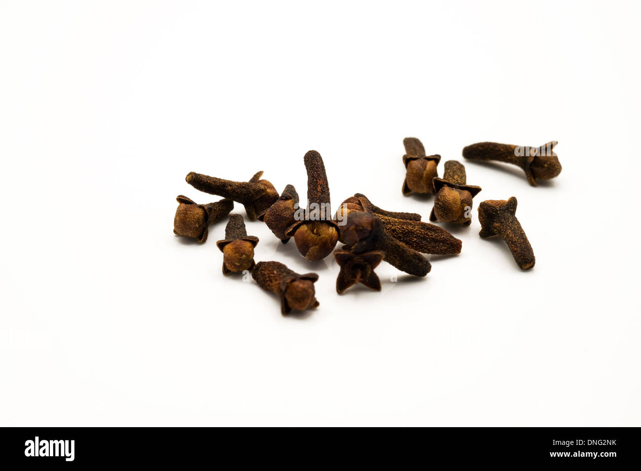 Cloves (Syzygium aromaticum). cut out white background copy space herb