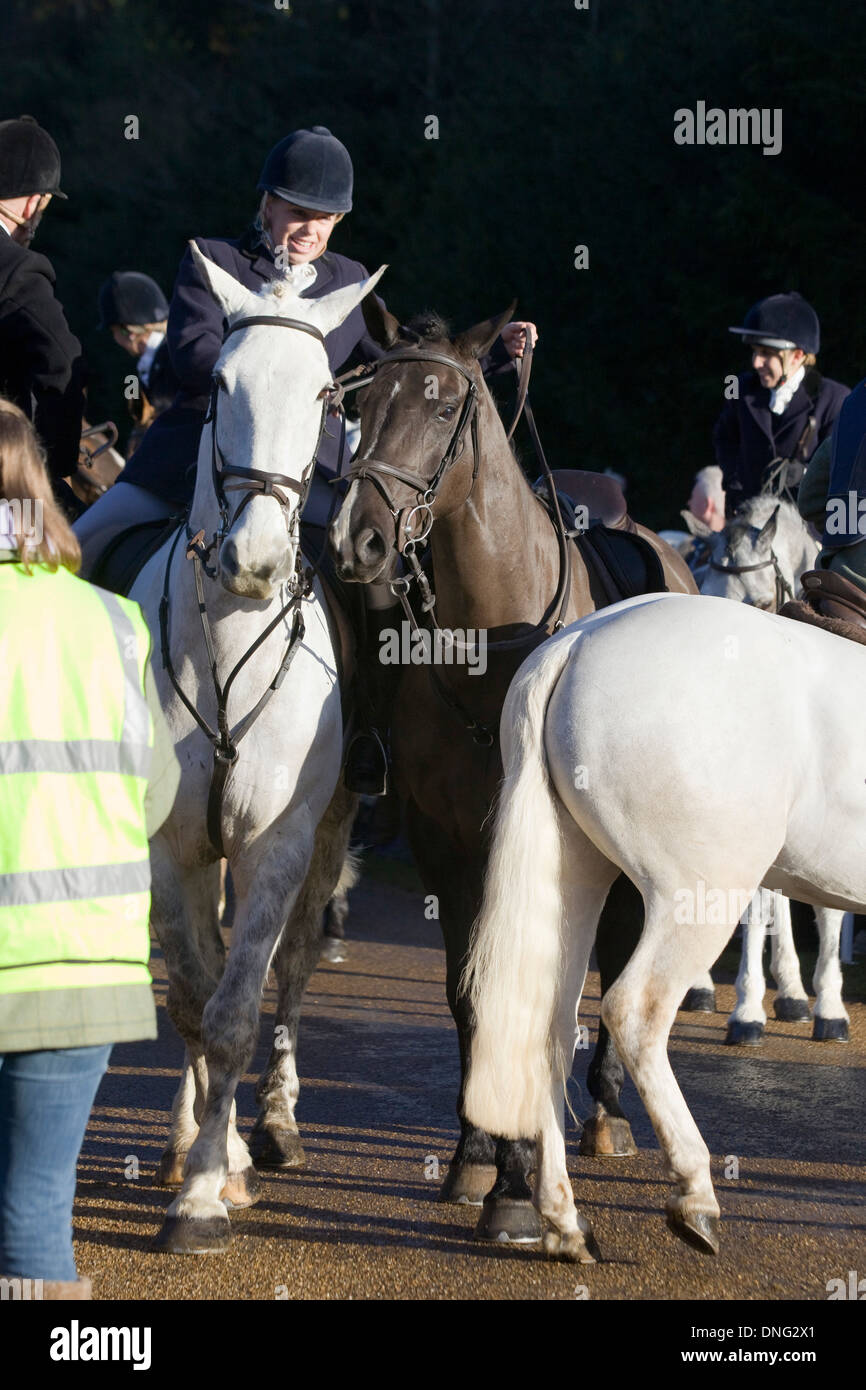 Traditional Boxing day Meet at Upton House Warwickshire England Stock Photo