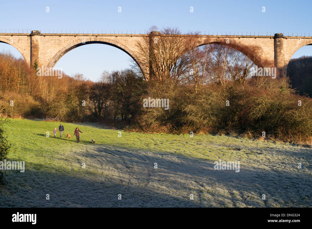 Couple walking dogs Wear Valley Washington with Victoria viaduct in the background, north east England, UK Stock Photo