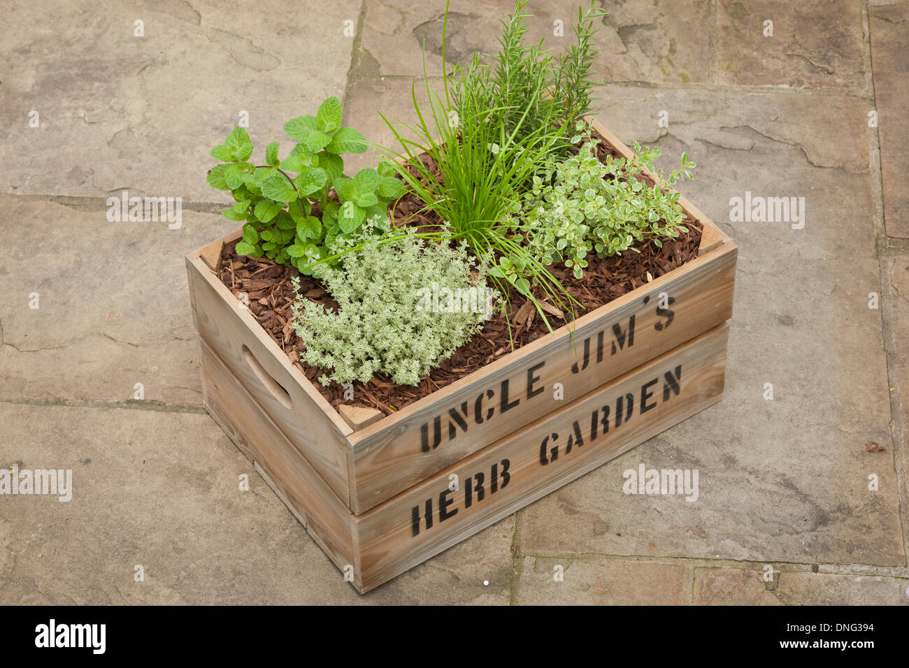 Uncle Jim's Herb Garden; personalized wooden box filled with earth