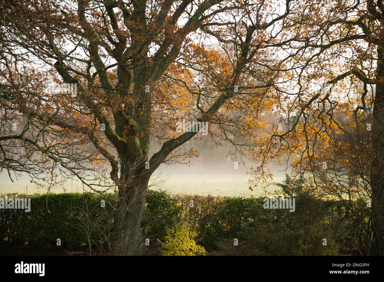 Autumnal scene in West Sussex, England, UK Stock Photo