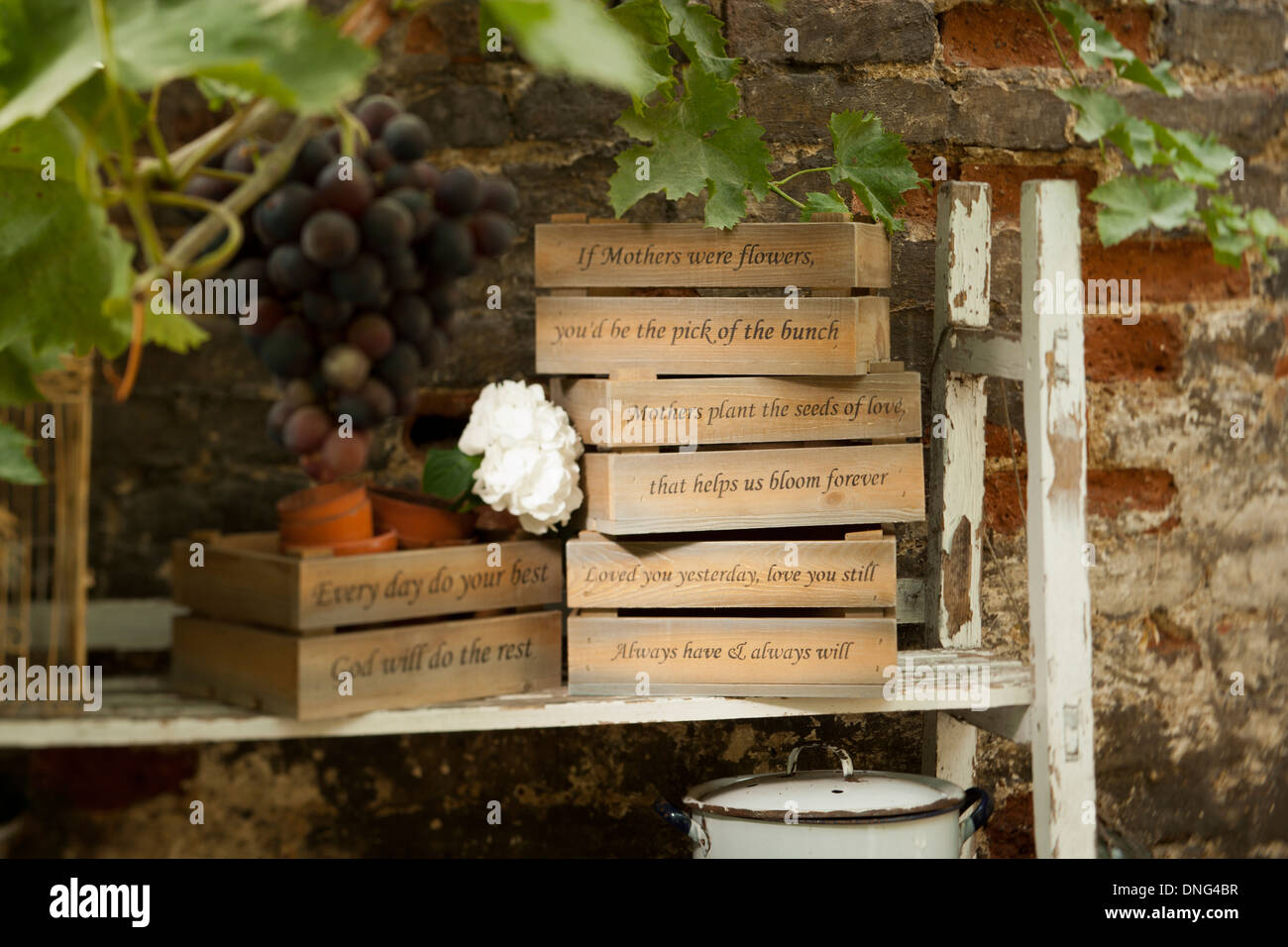 Wood seed trays in a greenhouse Stock Photo Alamy