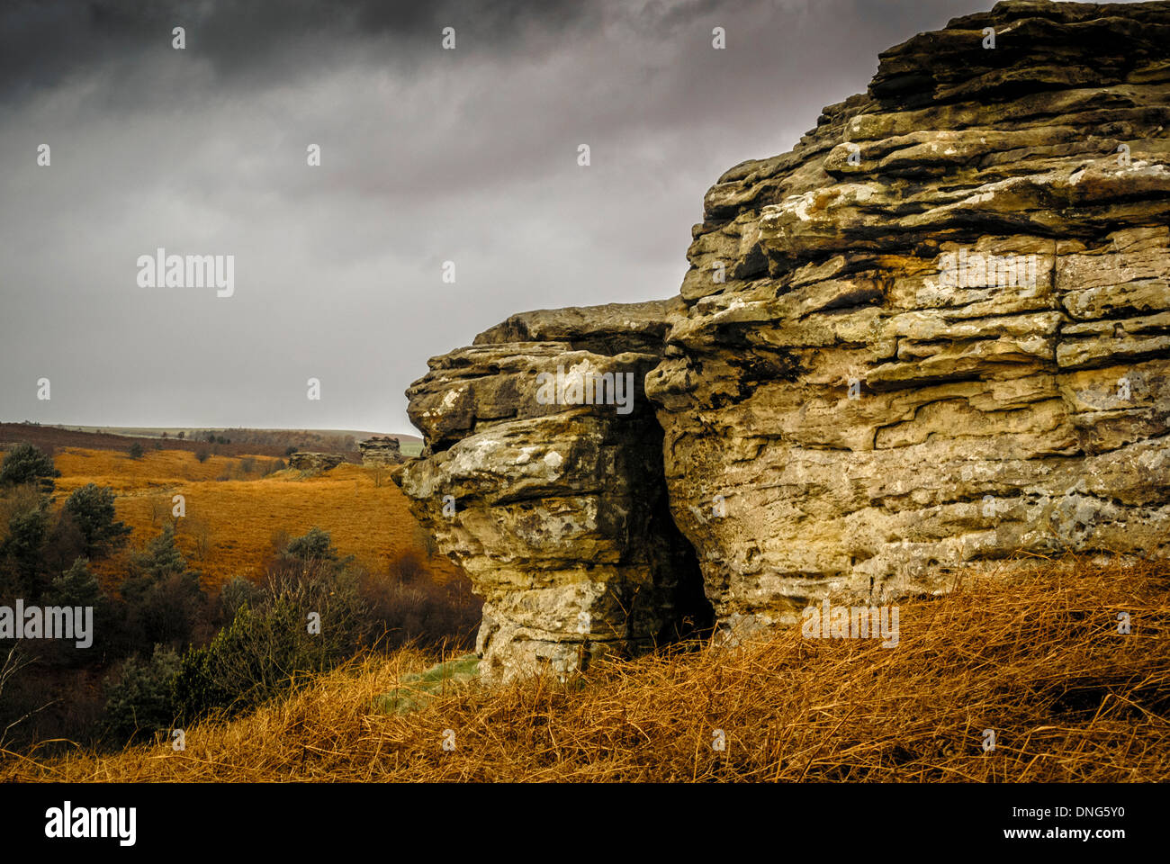 Bridestones, Dalby Forest, North Yorkshire, UK Stock Photo - Alamy