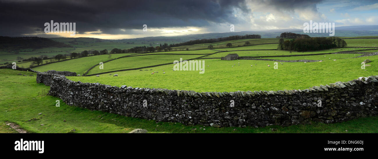 Norber Dale near the village of Austwick, Yorkshire Dales National Park, England, UK Stock Photo
