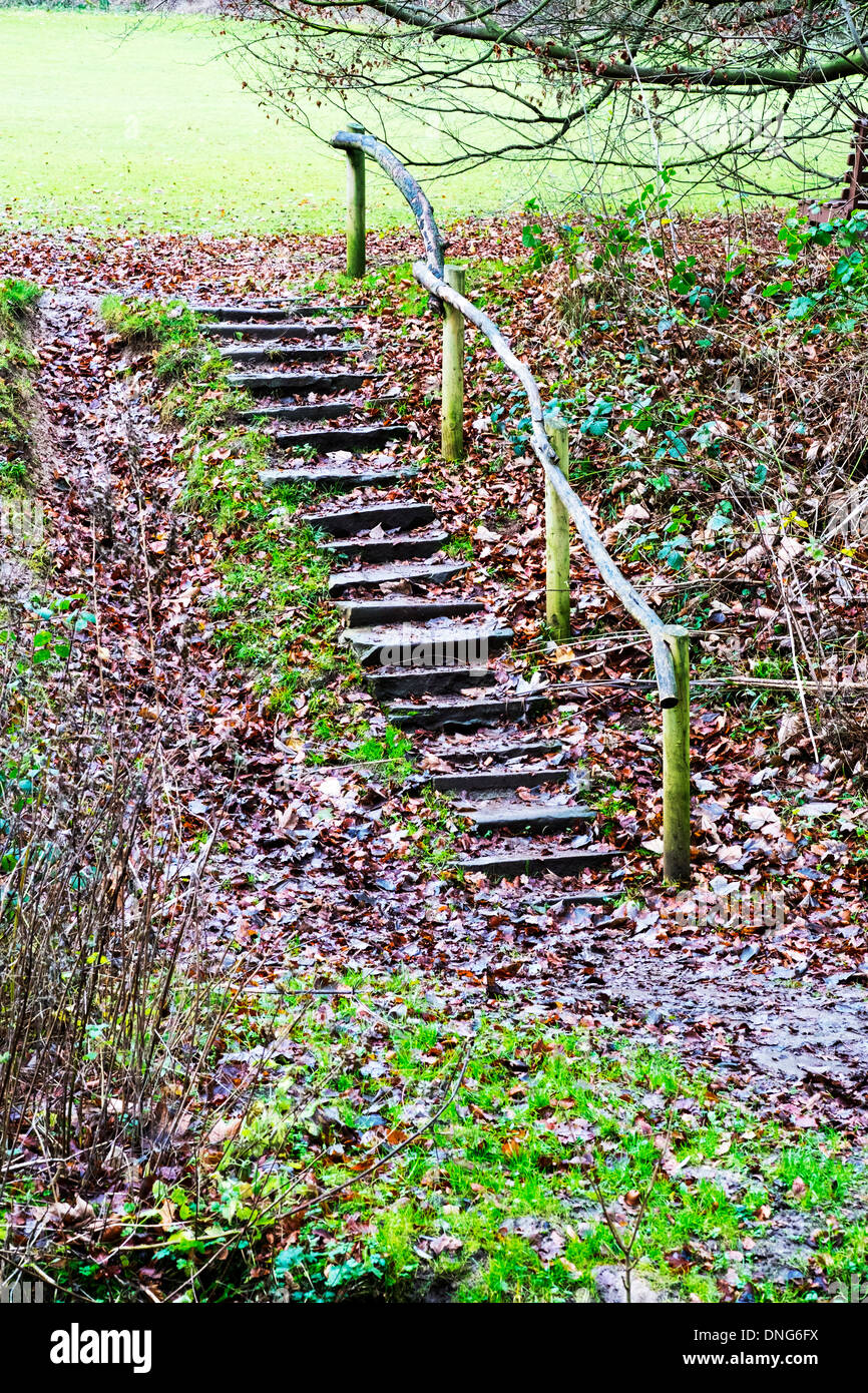 wet leaves covering stone steps slippery wooden hand rail Hubbards