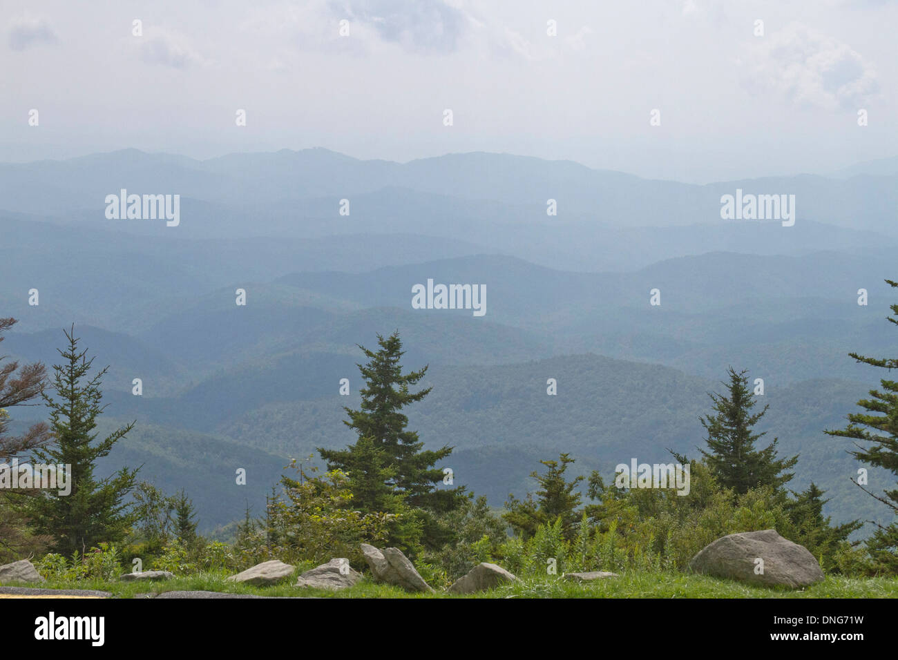 Waves of Blue Ridge Mountains with pines in the foreground in western North Carolina Stock Photo