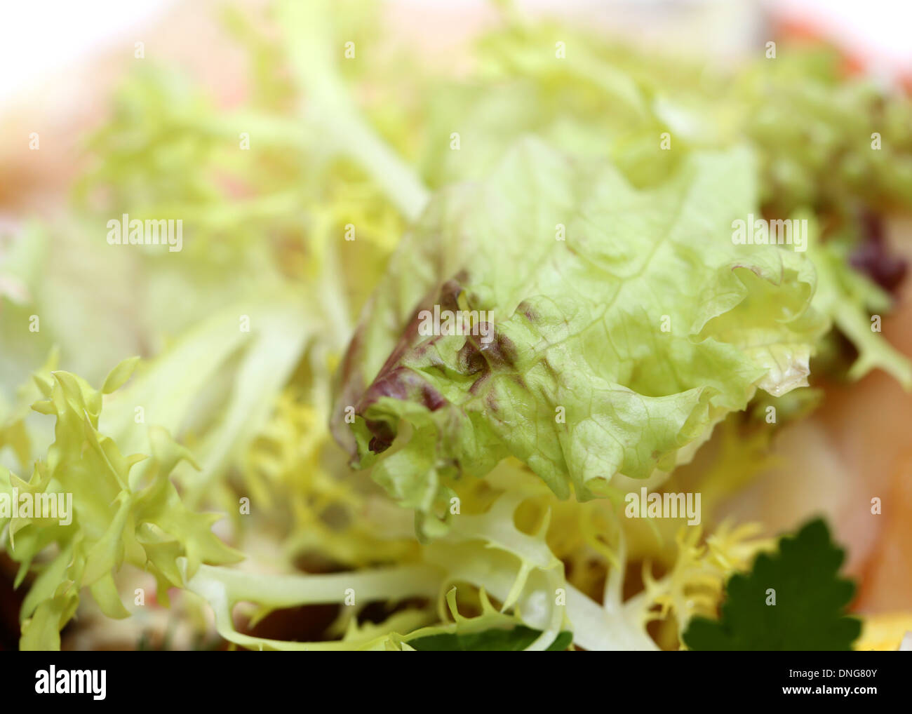 green salad Stock Photo