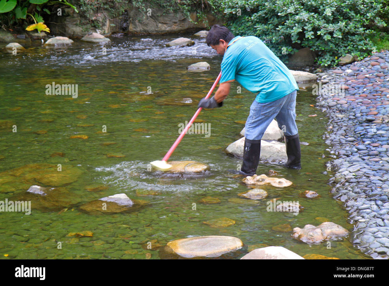 Hong Kong China,HK,Asia,Chinese,Oriental,Island,Central,Hong Kong Park,Asian man men male,employee worker workers working staff,cleaning,scrubbing,alg Stock Photo