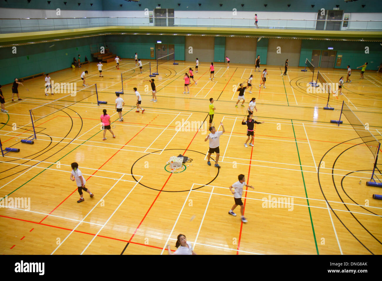 Hong Kong China,HK,Asia,Chinese,Oriental,Island,Central,Hong Kong Park Sports Centre,center,badminton courts,indoor,gymnasium,Asian girl girls,youngst Stock Photo