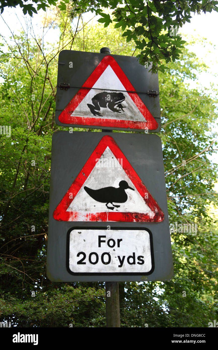 Beware, ducks and toads on the road sign near village pond , Southborough Common , near Tunbridge Wells , Kent , England Stock Photo