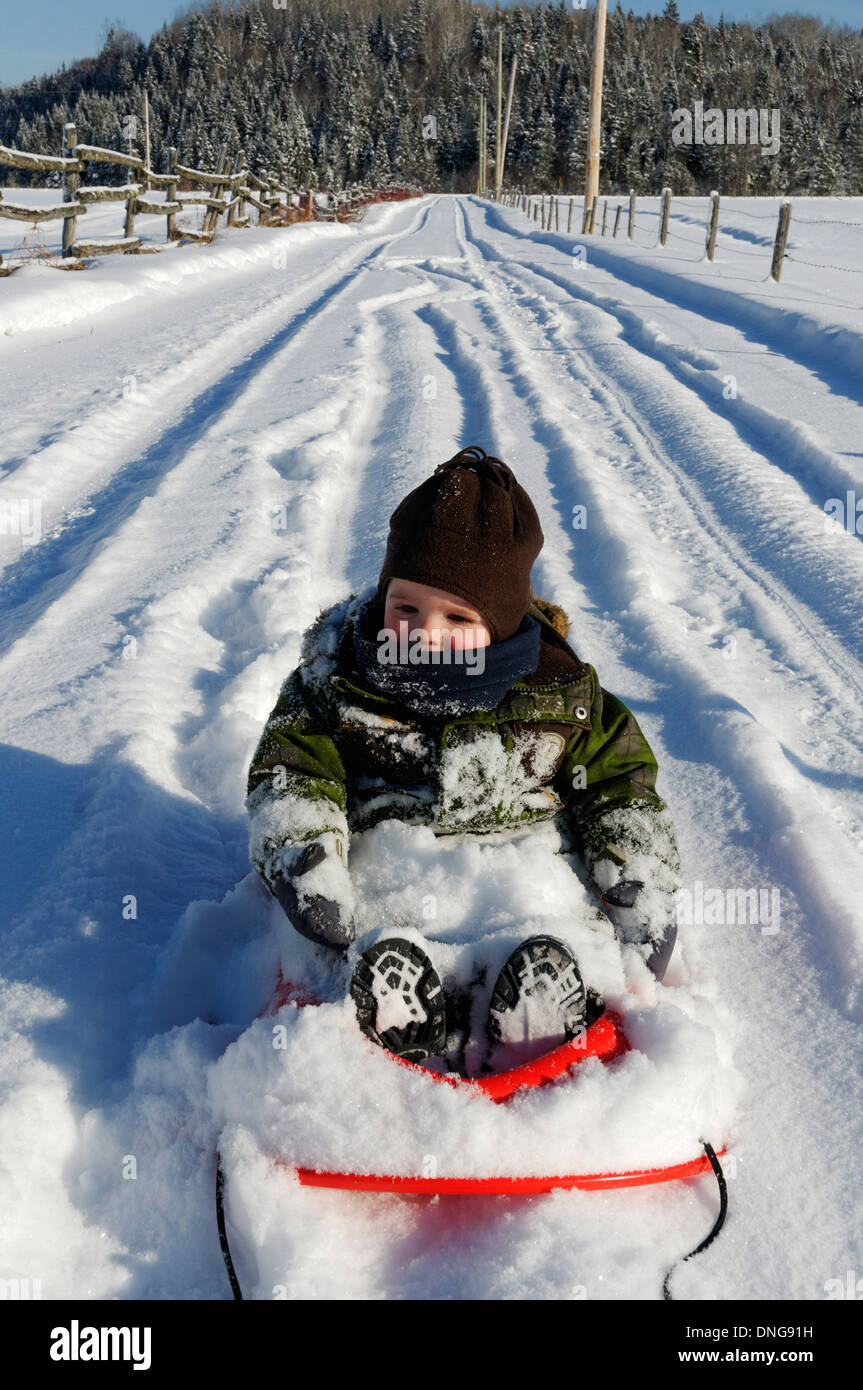 A 20 month old baby boy on a sledge Stock Photo