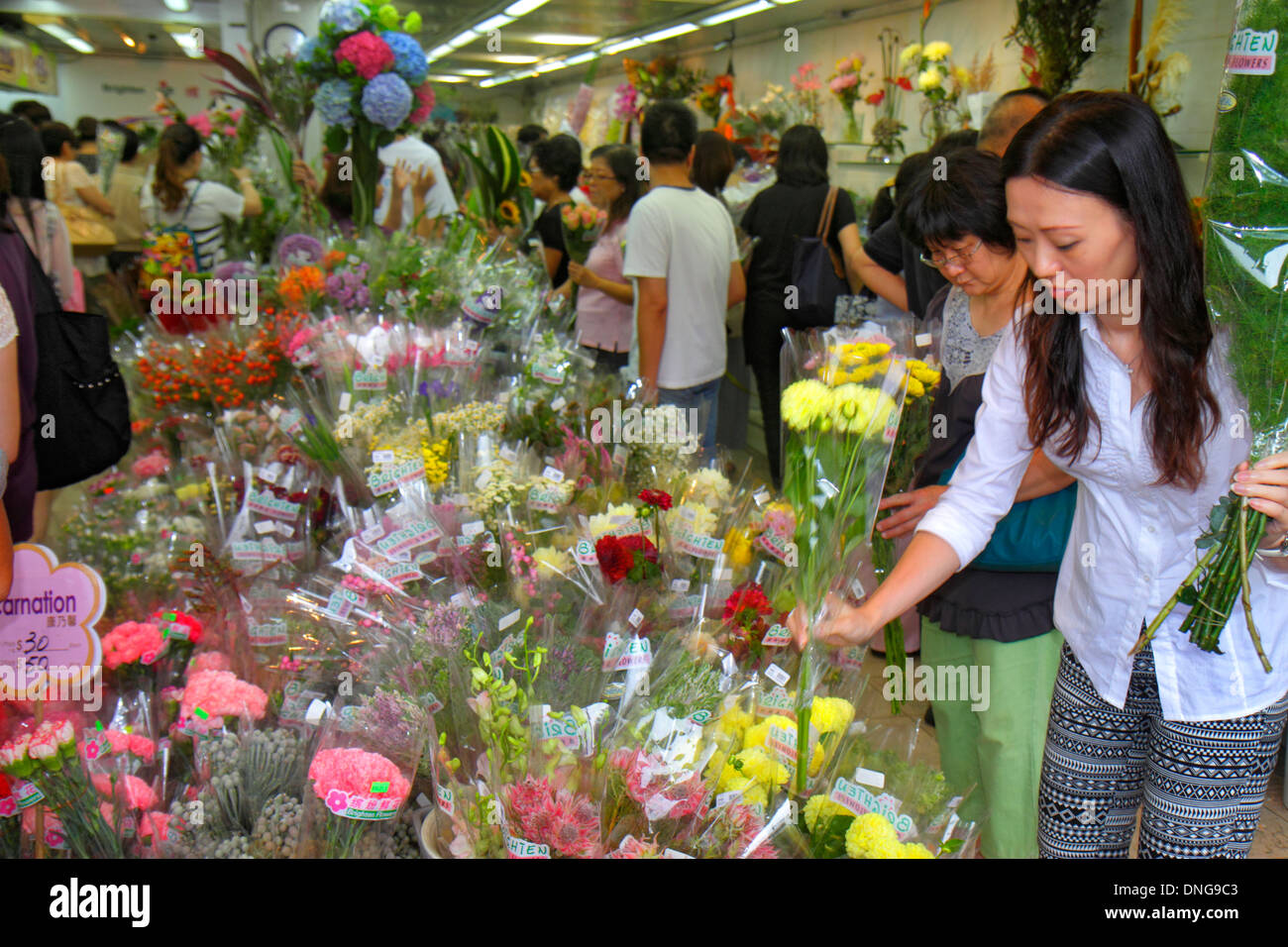 Hong Kong China,HK,Asia,Chinese,Oriental,Kowloon,Prince Edward,Flower