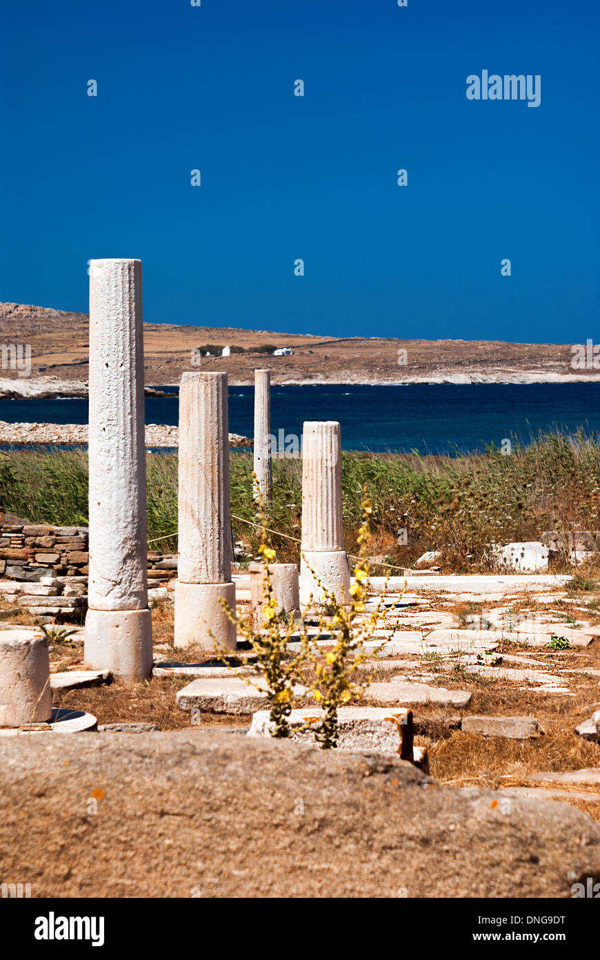 Delos Inscription Column Ionian column capital, architectural detail on Delos island, Greece ...
