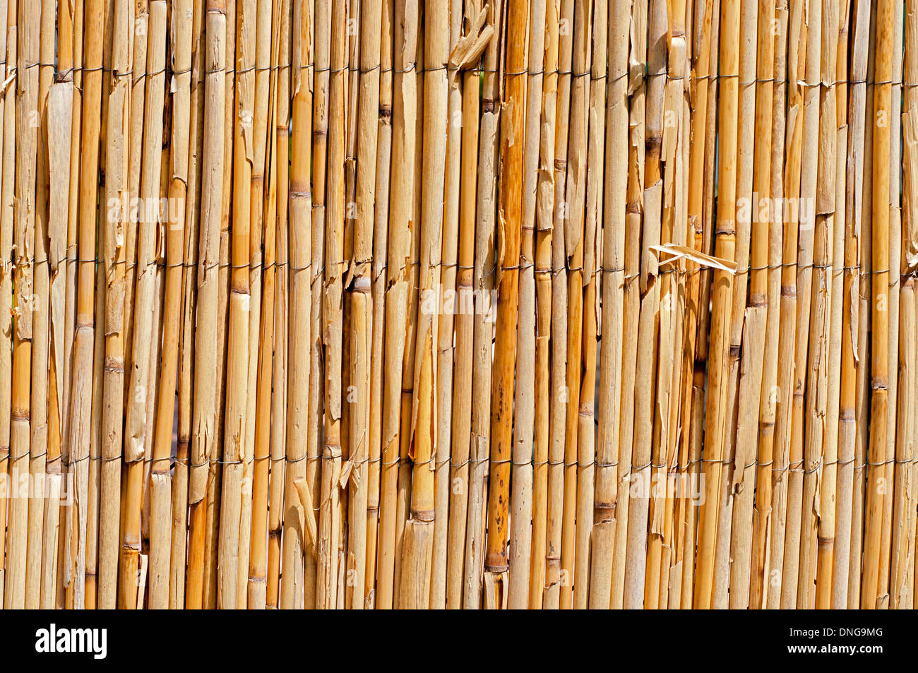 Wattle Fence Texture. Stock Photo