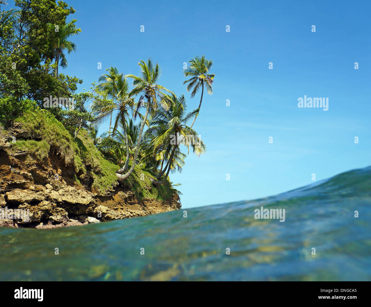 View from water surface with islet and coconut palm trees, Caribbean sea, Bocas del Toro, Panama Stock Photo