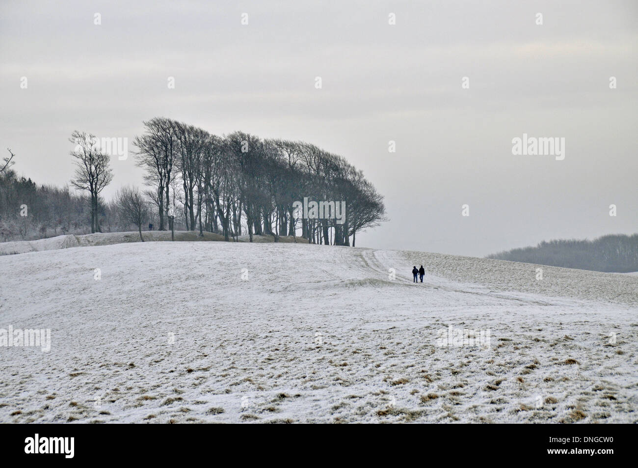 Walkers by Chanctonbury Ring along the South Downs Way. A heavy hoar frost Stock Photo