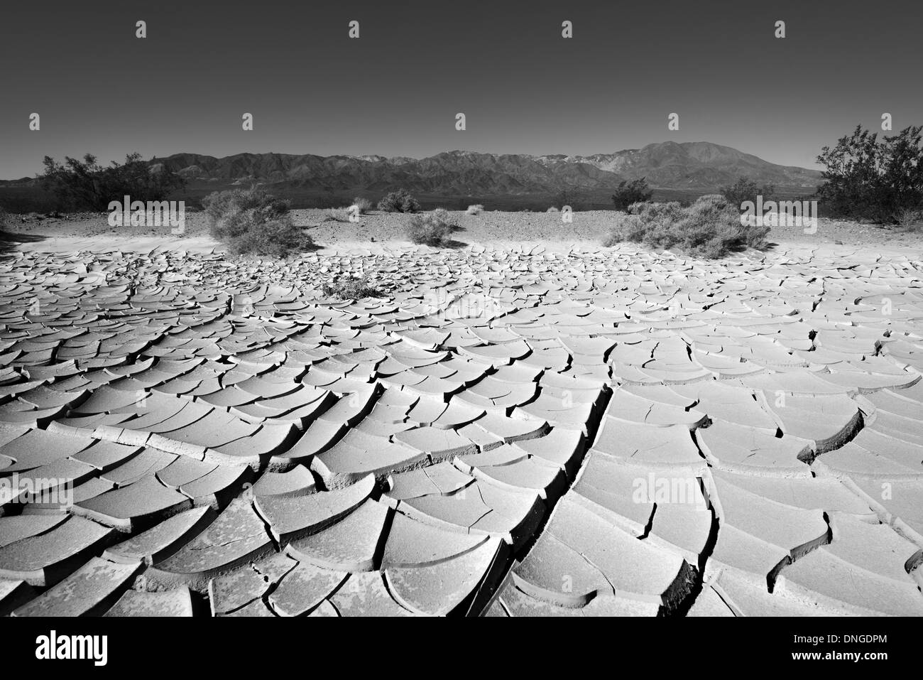 Dry soil in Death Valley Stock Photo