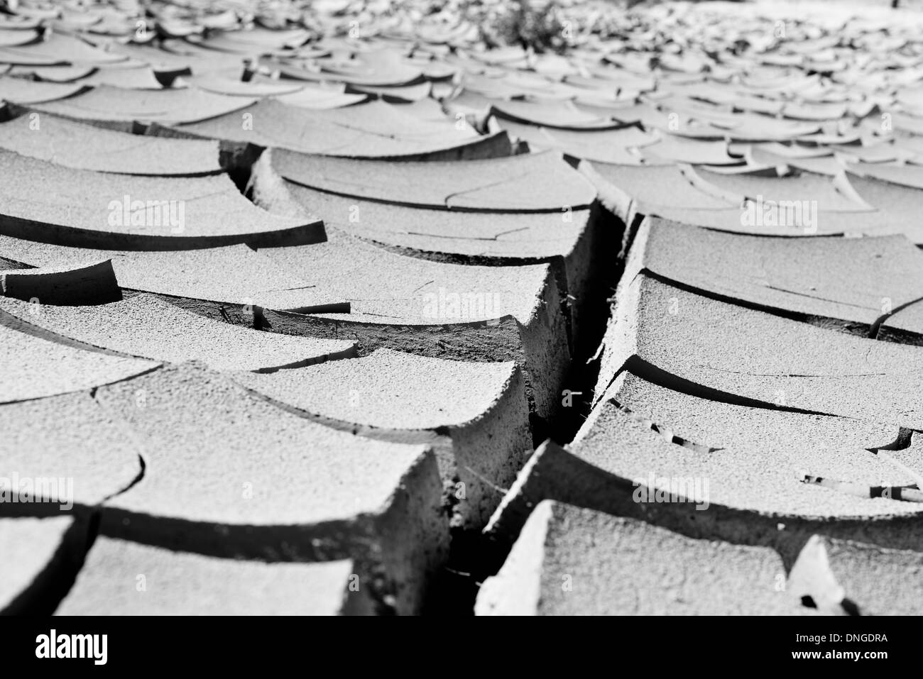 Dry soil in Death Valley Stock Photo