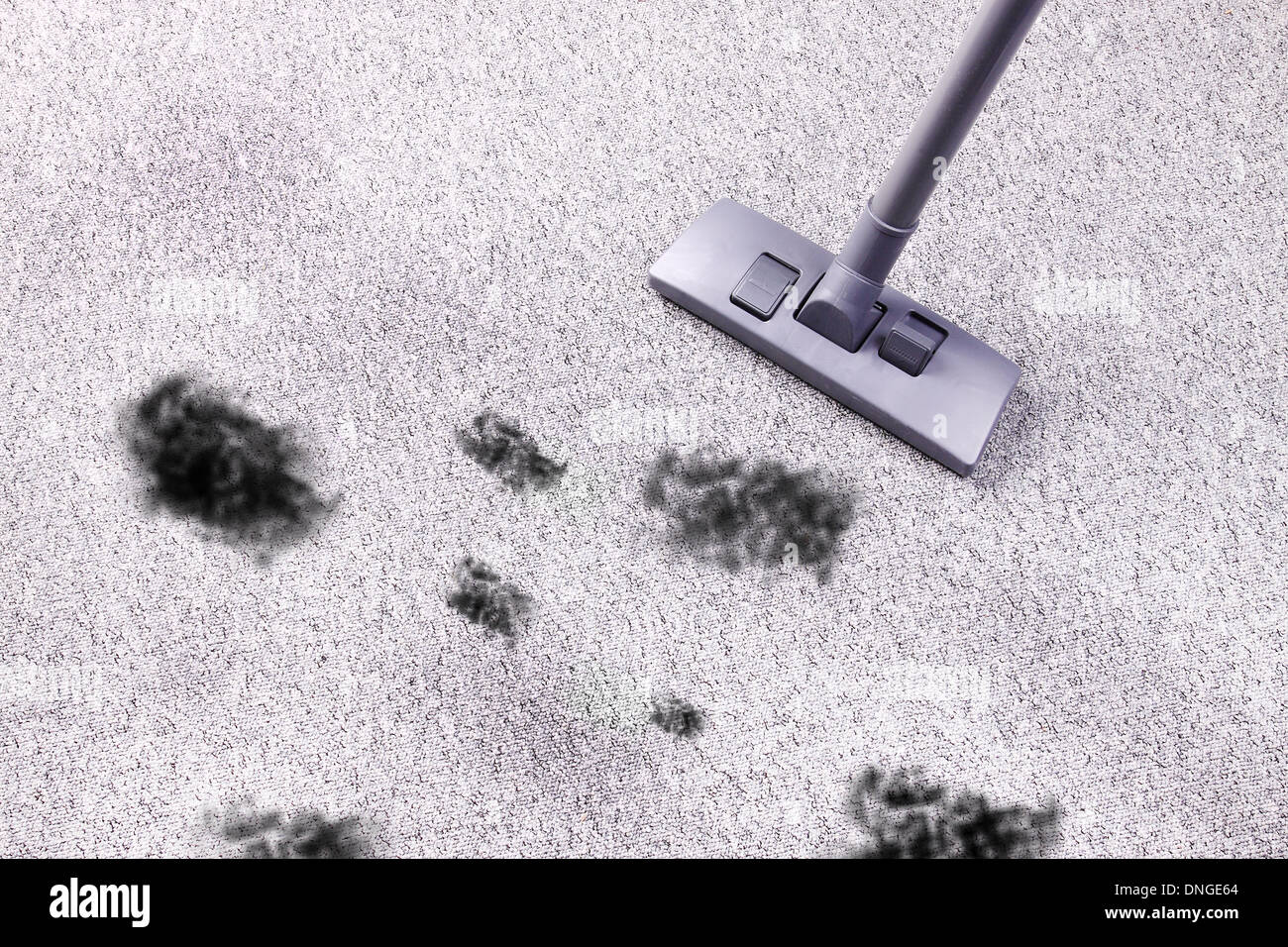 Vacuuming very dirty carpet Stock Photo Alamy