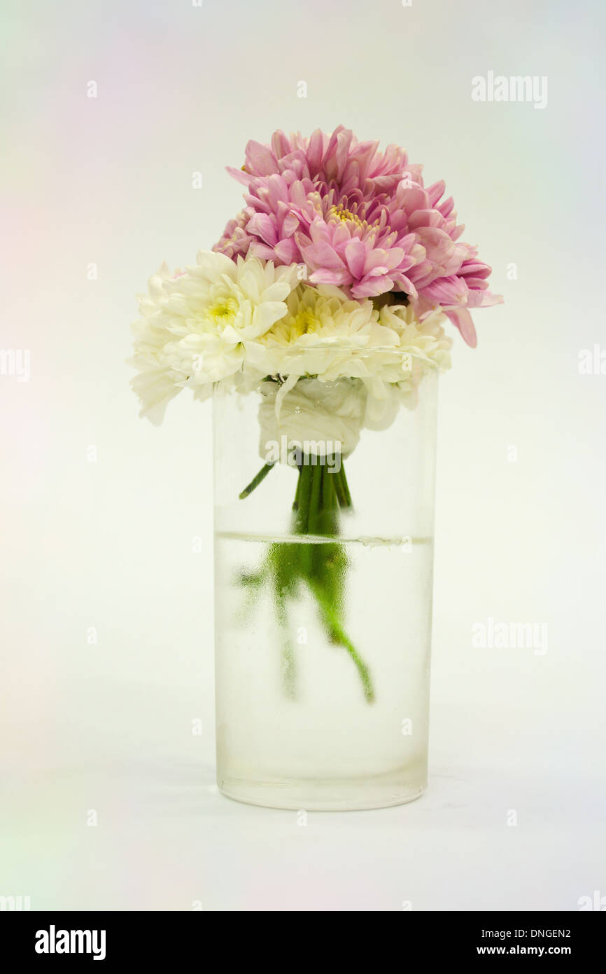 Bouquet of Flowers in a Glass on white background Stock Photo