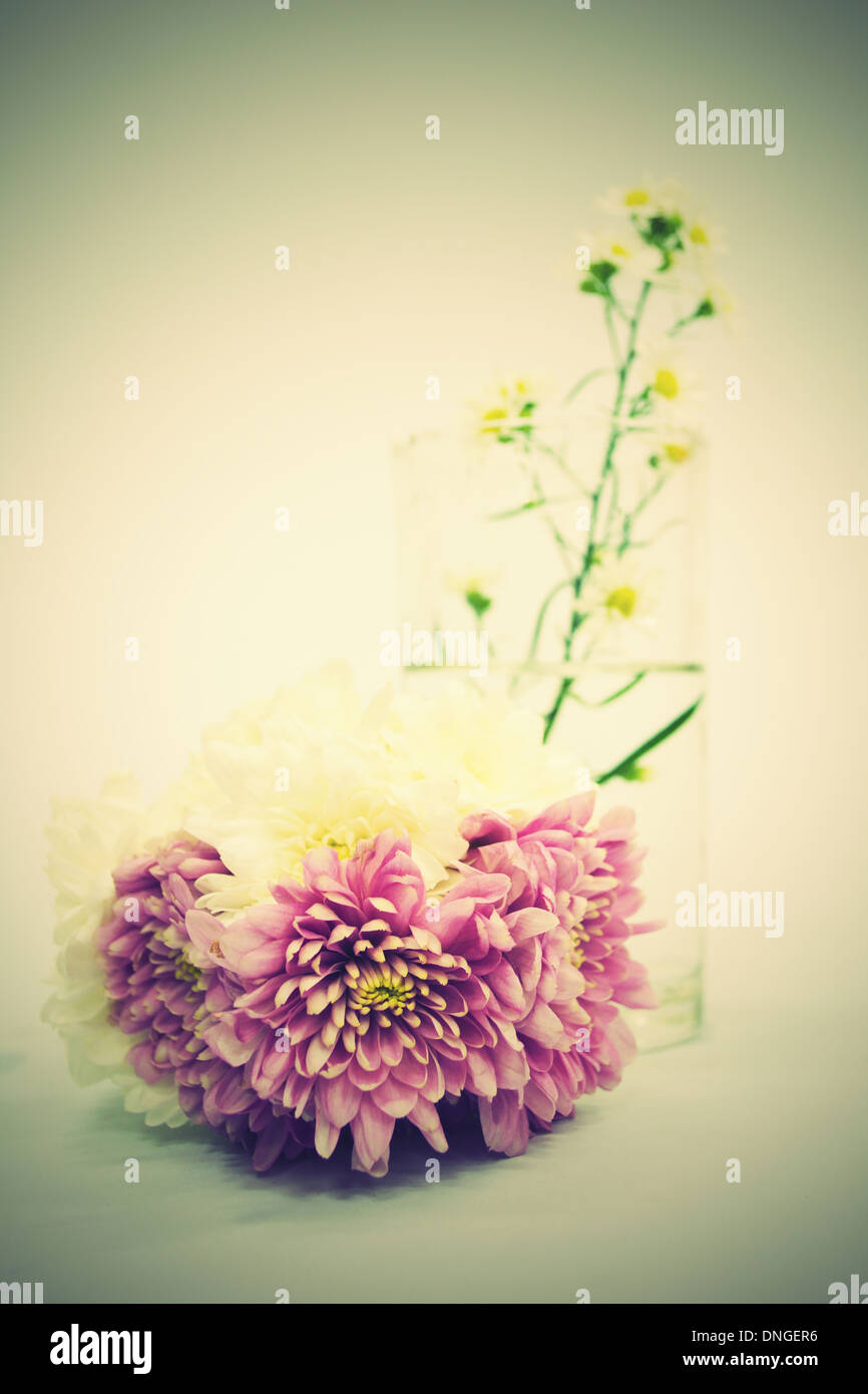 Vintage flowers in blossom hi-res stock photography and images - Alamy