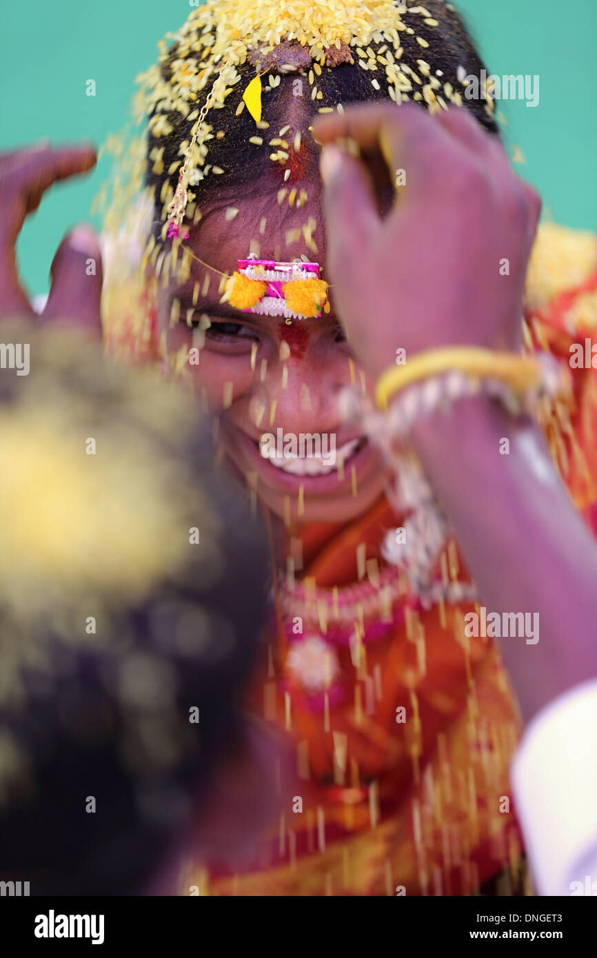  South Indian Wedding Stock Photos South Indian Wedding Stock Images 