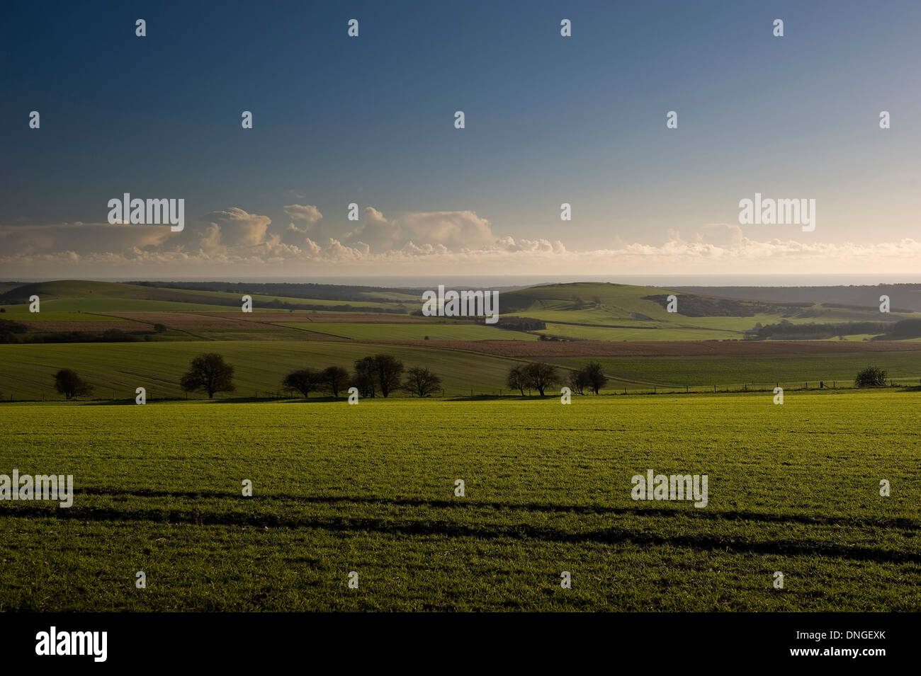 View across the South Downs to Blackpatch Hill and Harrow Hill near Worthing, West Sussex, UK Stock Photo