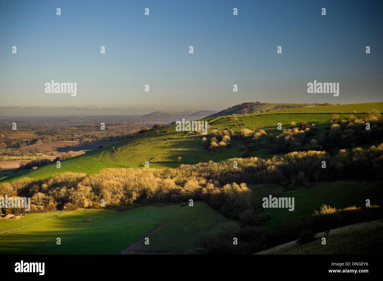 Low sunlight on Sullington Hill on the South Downs near Storrington, West Sussex, UK Stock Photo