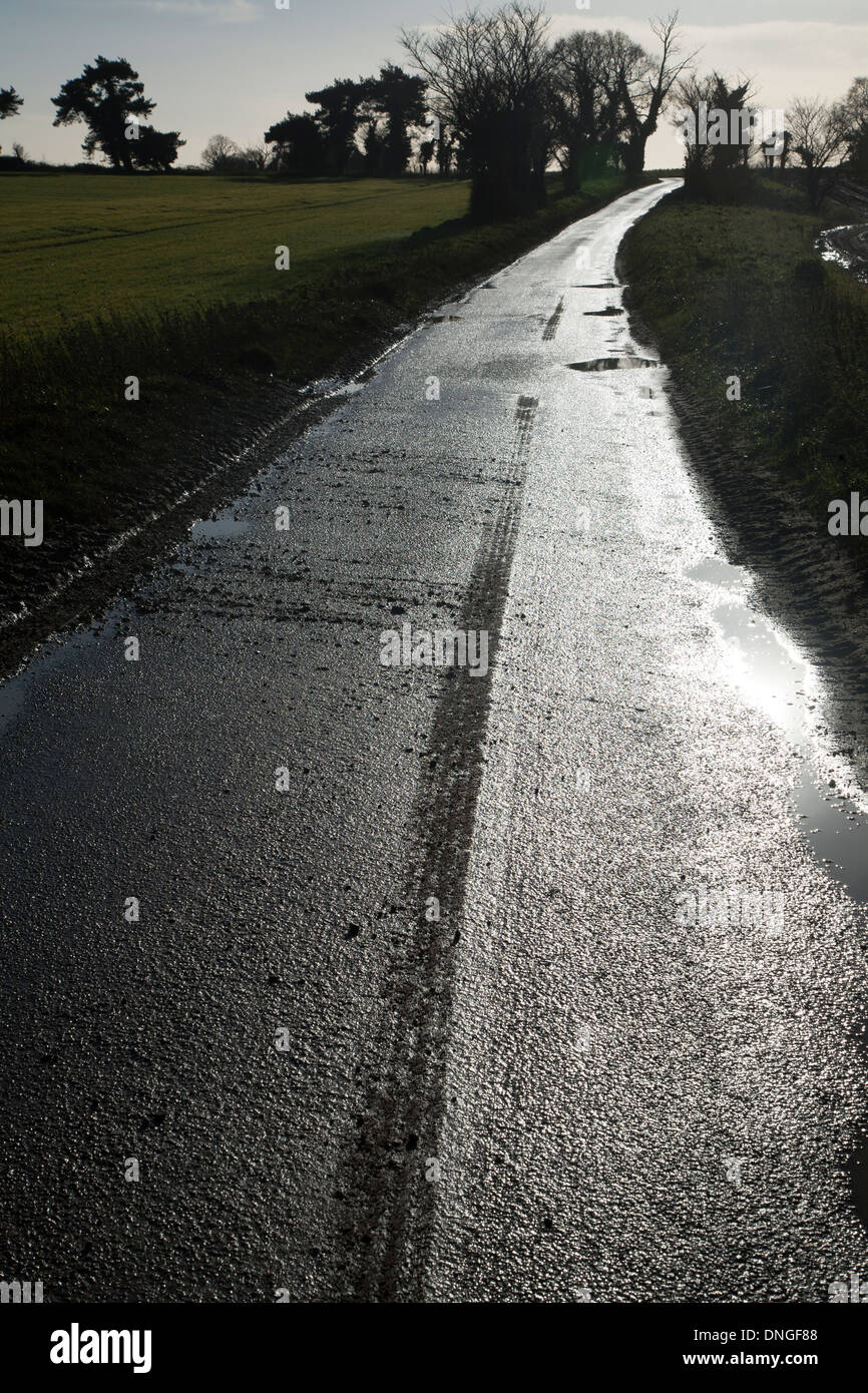 Shining silvery surface of wet tarmac on a country road in winter
