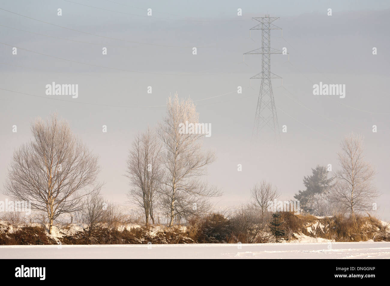White fog background cold hi-res stock photography and images - Alamy