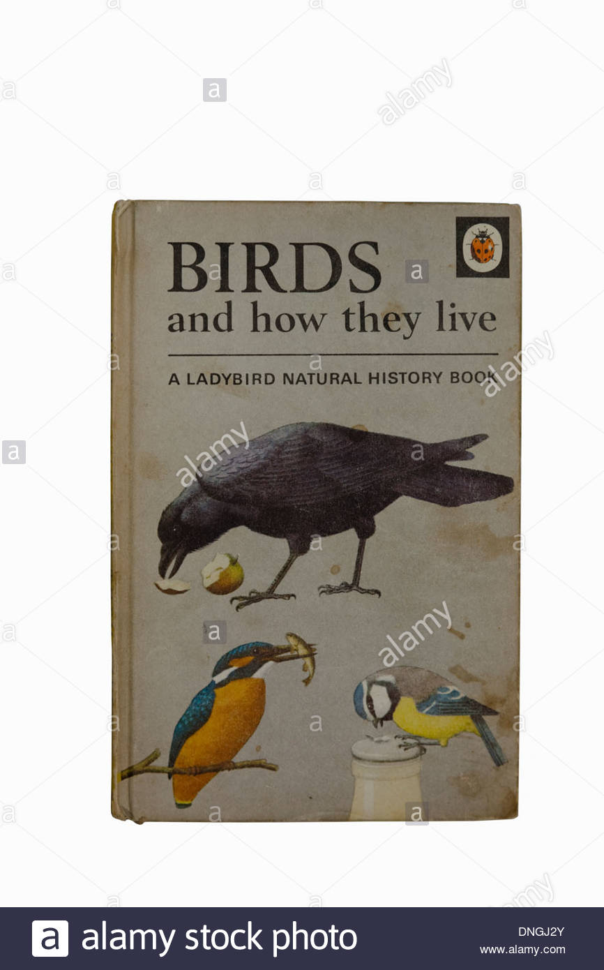 An Old Copy Of The Ladybird Book Birds And How They Live - 