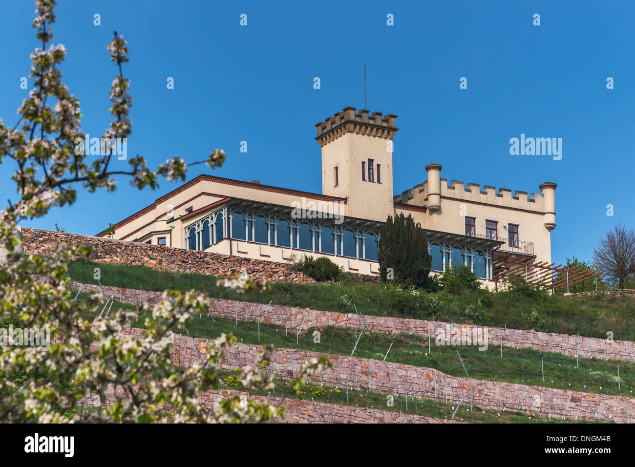 The Friedensburg (castle of peace) is located in the Winegrowing area of Radebeul near Dresden