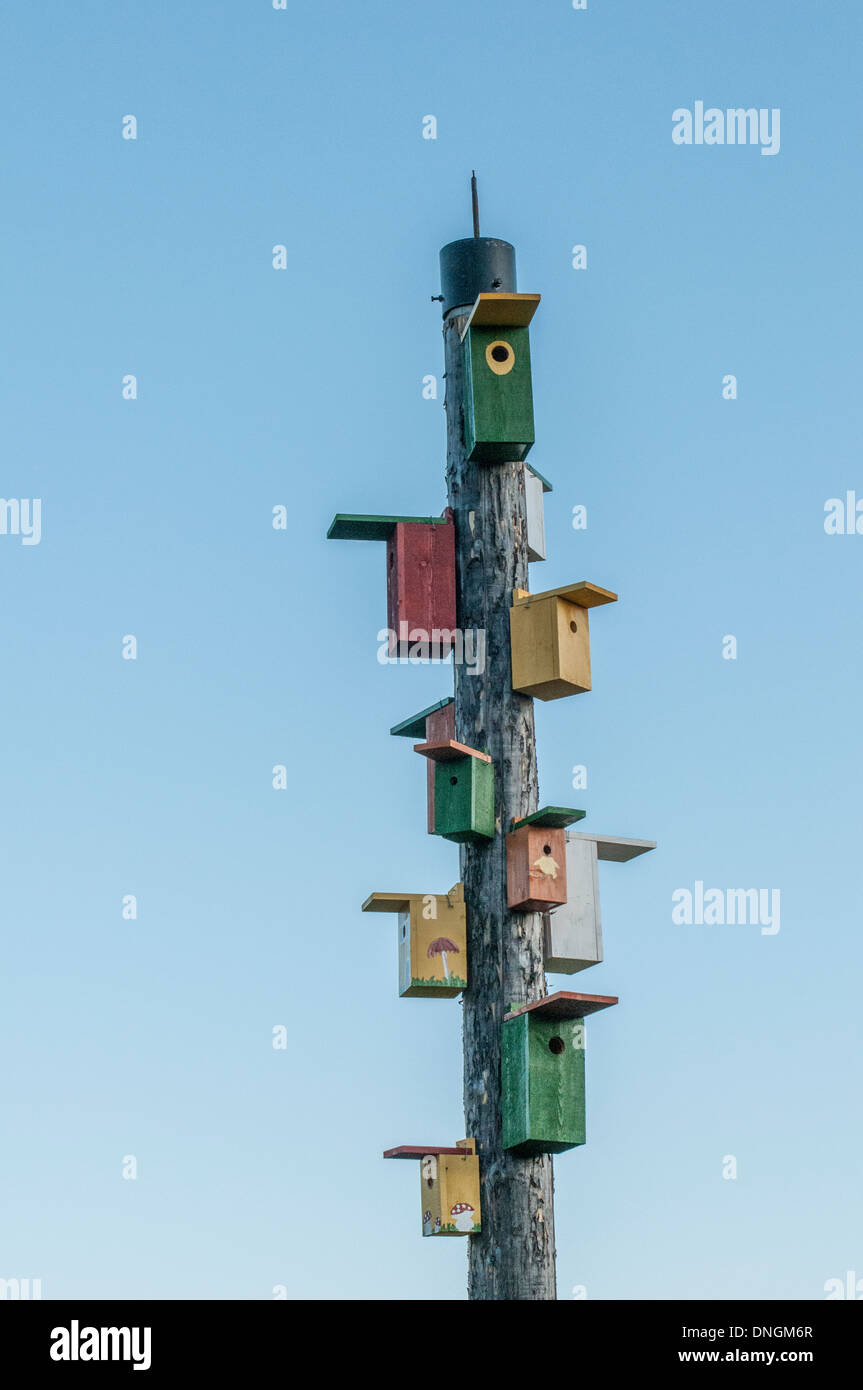 Several birdhouses on a pole hires stock photography and images Alamy
