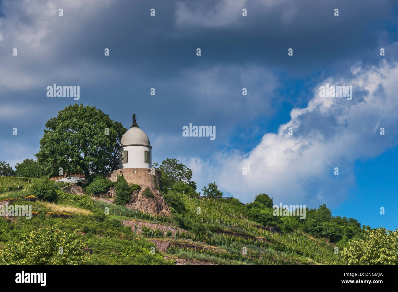 The Jacobstein is a vineyard gazebo in Radebeul near Dresden, Saxony, Germany, Europe Stock Photo