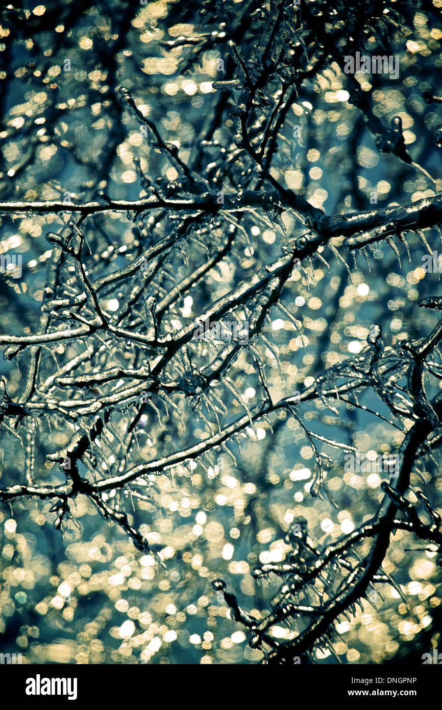 Outdoor object affected by ice storm Stock Photo - Alamy