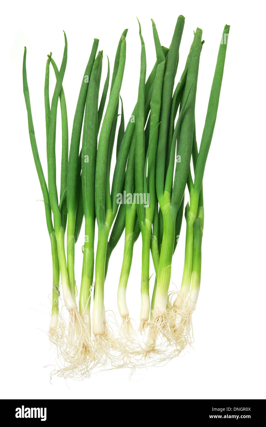 Bunches Spring Onions High Resolution Stock Photography and Images - Alamy