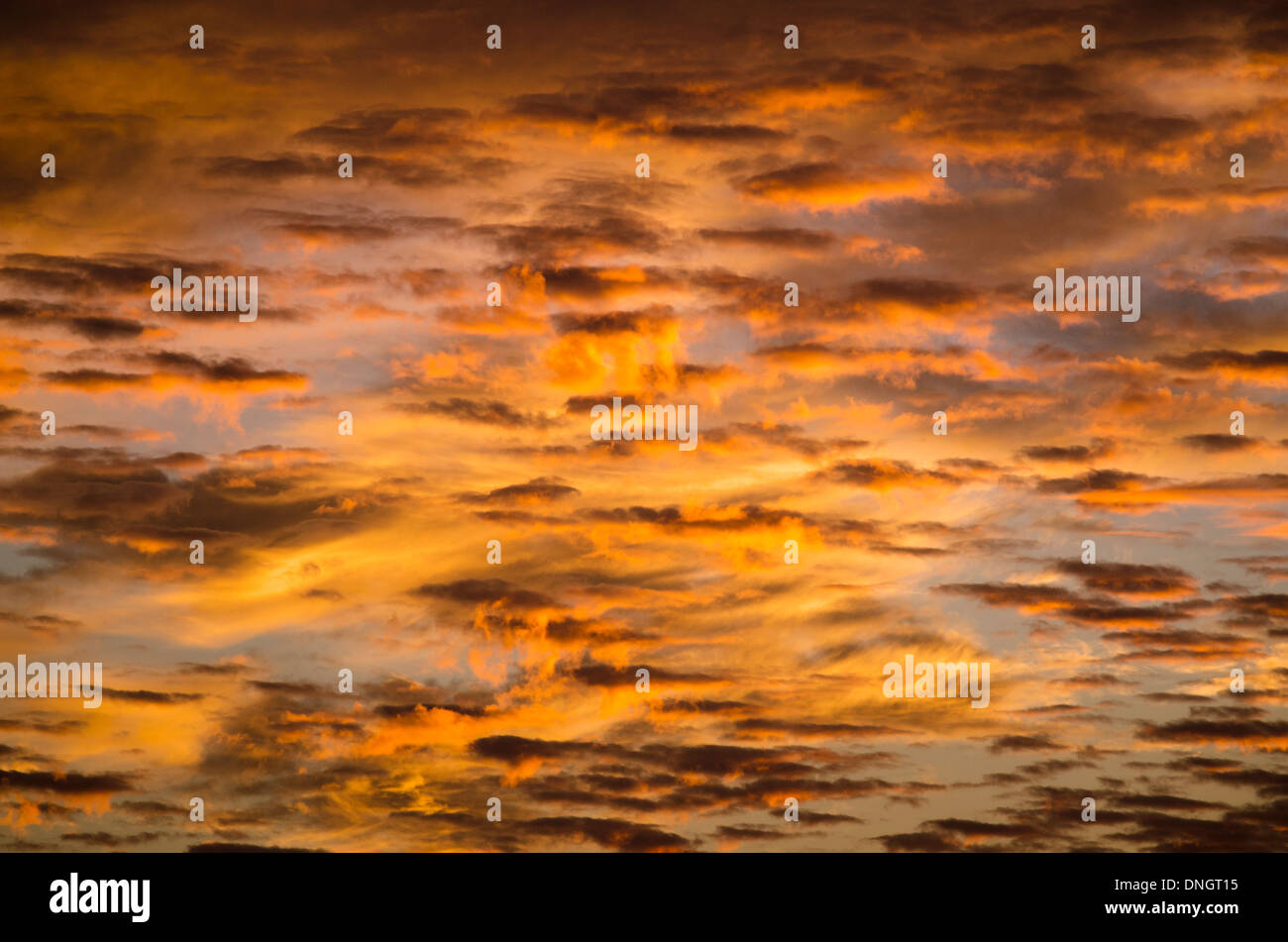 Featured image of post Moody Orange Background Hd