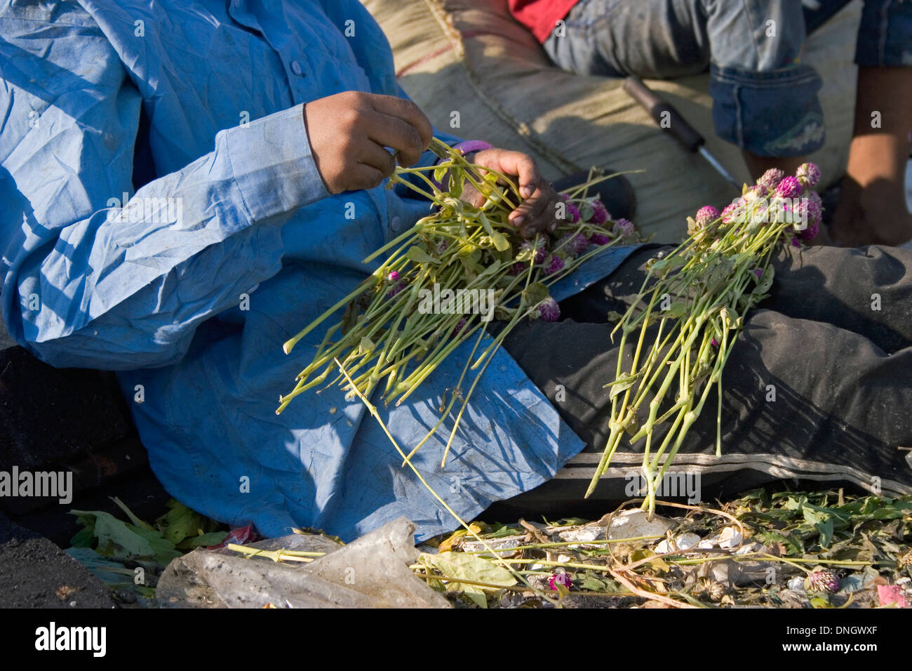 A scavenger woman is holding flowers discarded after Valentines Day at the toxic Stung Meanchey Landfill in Phnom Penh, Cambodia Stock Photo