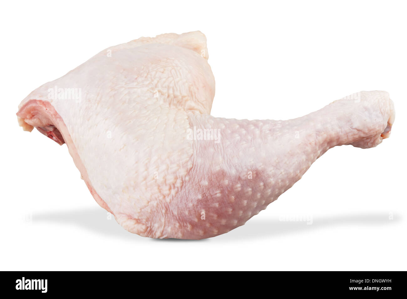 a chicken leg quarter isolated. Clipping path included Stock Photo