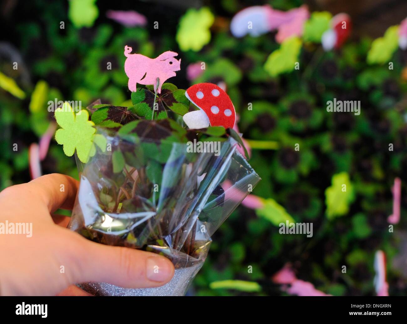Hamburg, Germany. 29th Dec, 2013. A woman holds a flower pot with lucky charms in a flower shop in Hamburg, Germany, 29 December 2013. Chimney sweep, lucky pig, horseshoe or a four leaf clover are considered the lucky charms for the new year. Photo: Angelika Warmuth/dpa/Alamy Live News Stock Photo
