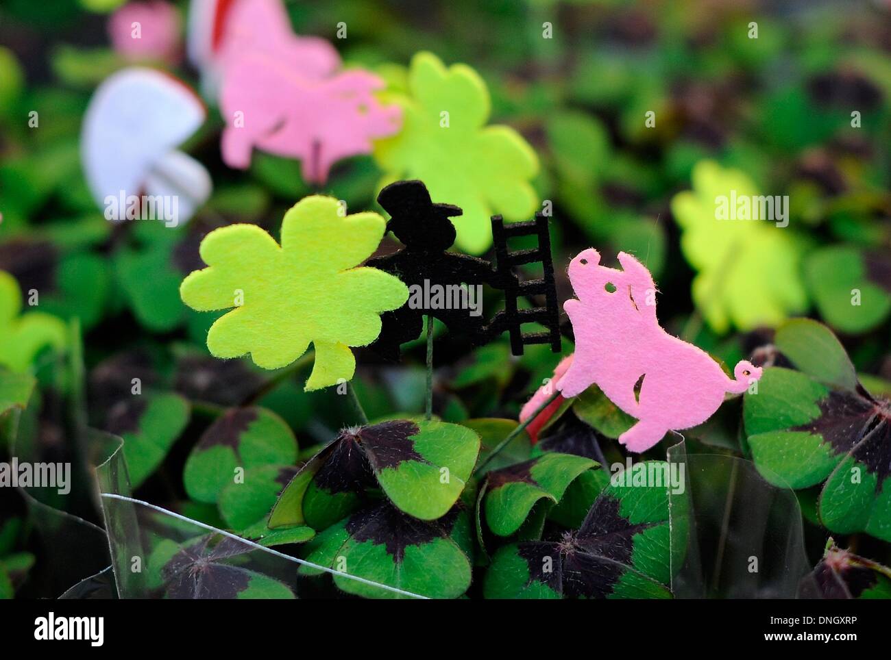 Hamburg, Germany. 29th Dec, 2013. Lucky charms are stuck in a flower pot with lucky clover in a flower shop in Hamburg, Germany, 29 December 2013. Chimney sweep, lucky pig, horseshoe or a four leaf clover are considered the lucky charms for the new year. Photo: Angelika Warmuth/dpa/Alamy Live News Stock Photo