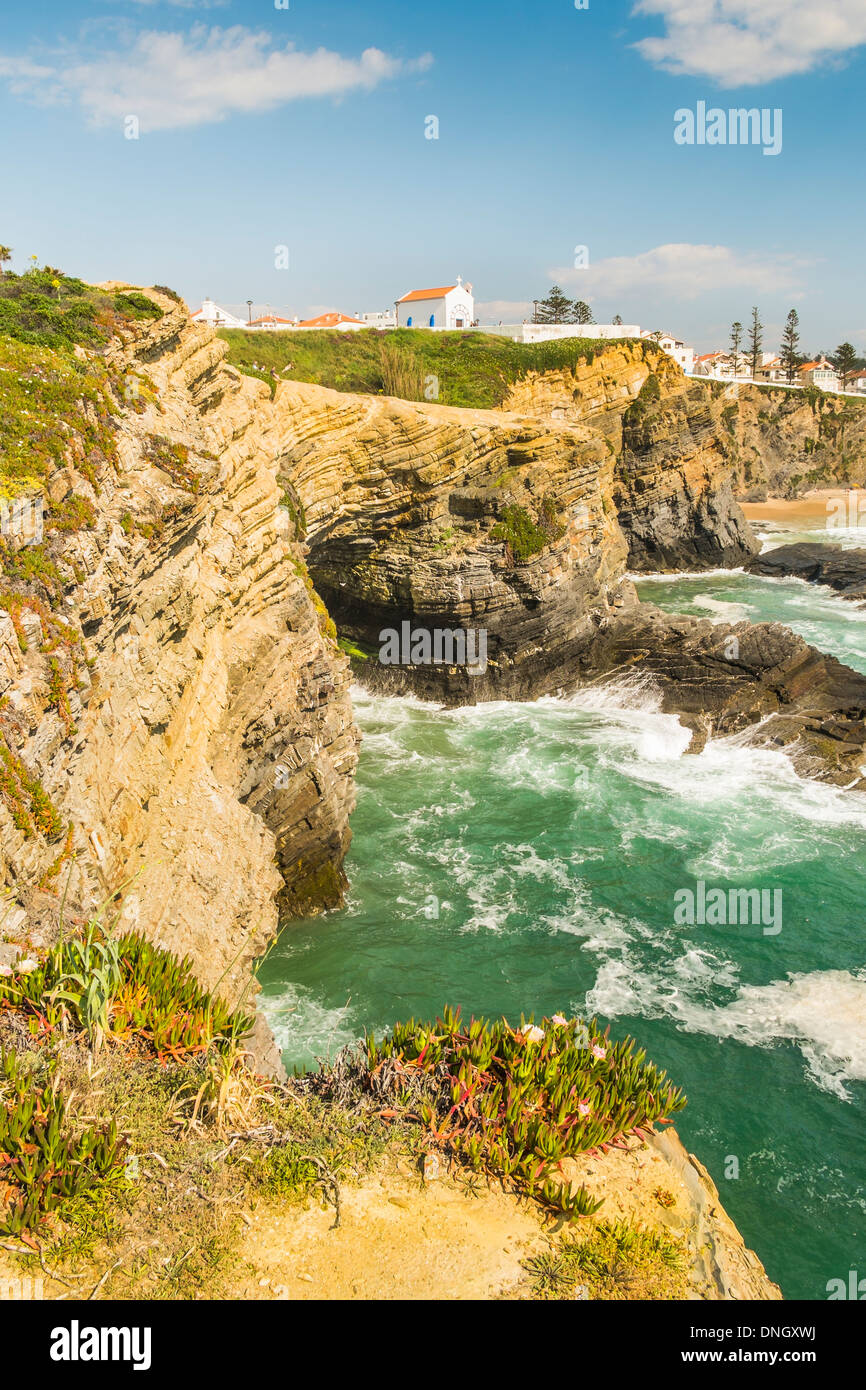 Typical Vegetation High Resolution Stock Photography and Images - Alamy